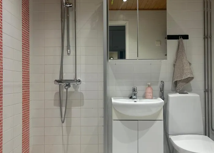 Apartamento Center With Sauna & Rooftop Terrace Pori